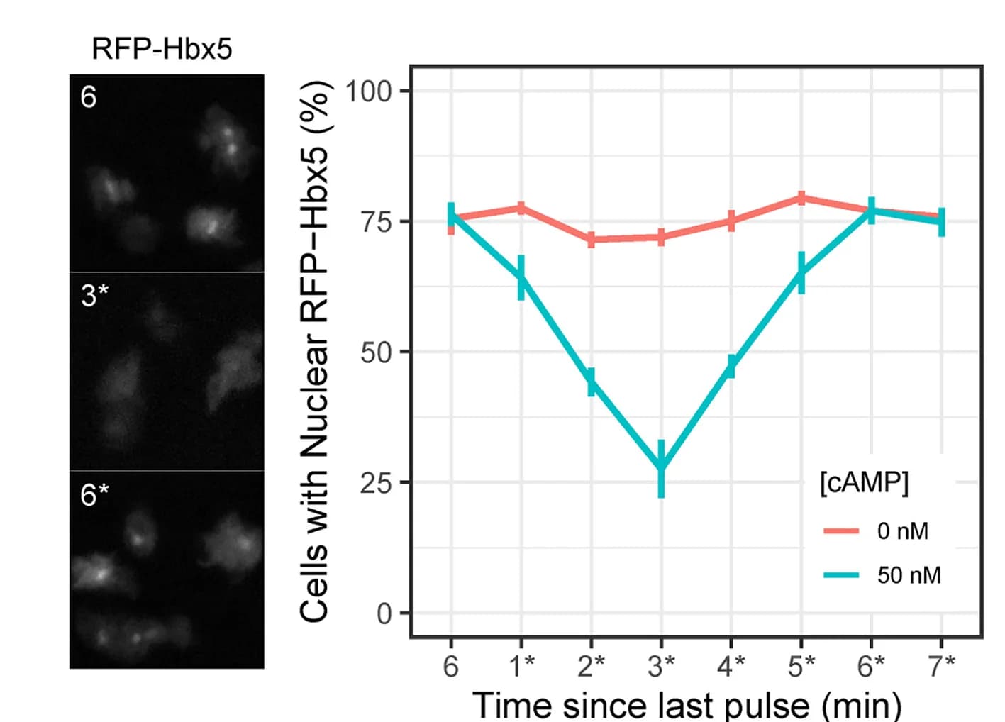 Open access visualization of Line Plot, Error Bars, Microscopy, Hbx5 Response, cAMP