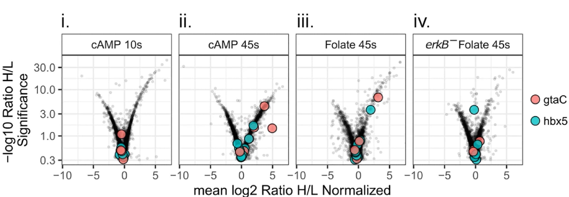 Open access visualization of Scatter Plot, Bubble Plot, Quantitative Proteomics, cAMP, Folate