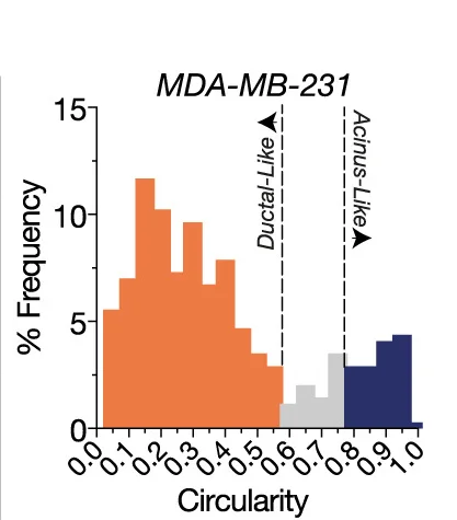 Open access visualization of Histogram, Ductal-like Morphologies, Acinus-like Morphologies, MDA-MB-231, Cell Lines