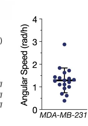 Open access visualization of Scatter Plot, Error Bars, Angular Speed, Cellular Track, Rotational Cells