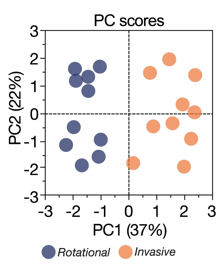 Open access visualization of Scatter Plot, PCA, PCA Plot, Biophysical Metrics, Rotational Cells