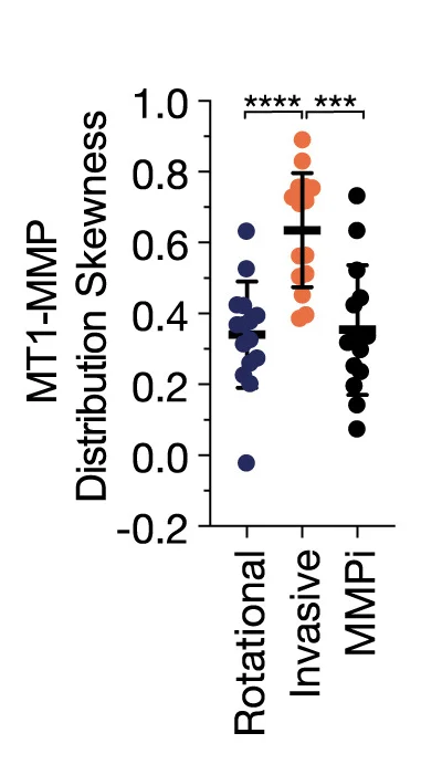 Open access visualization of Scatter Plot, Error Bars, MT1-MMP, Signal Distribution, Pericellular Membranes