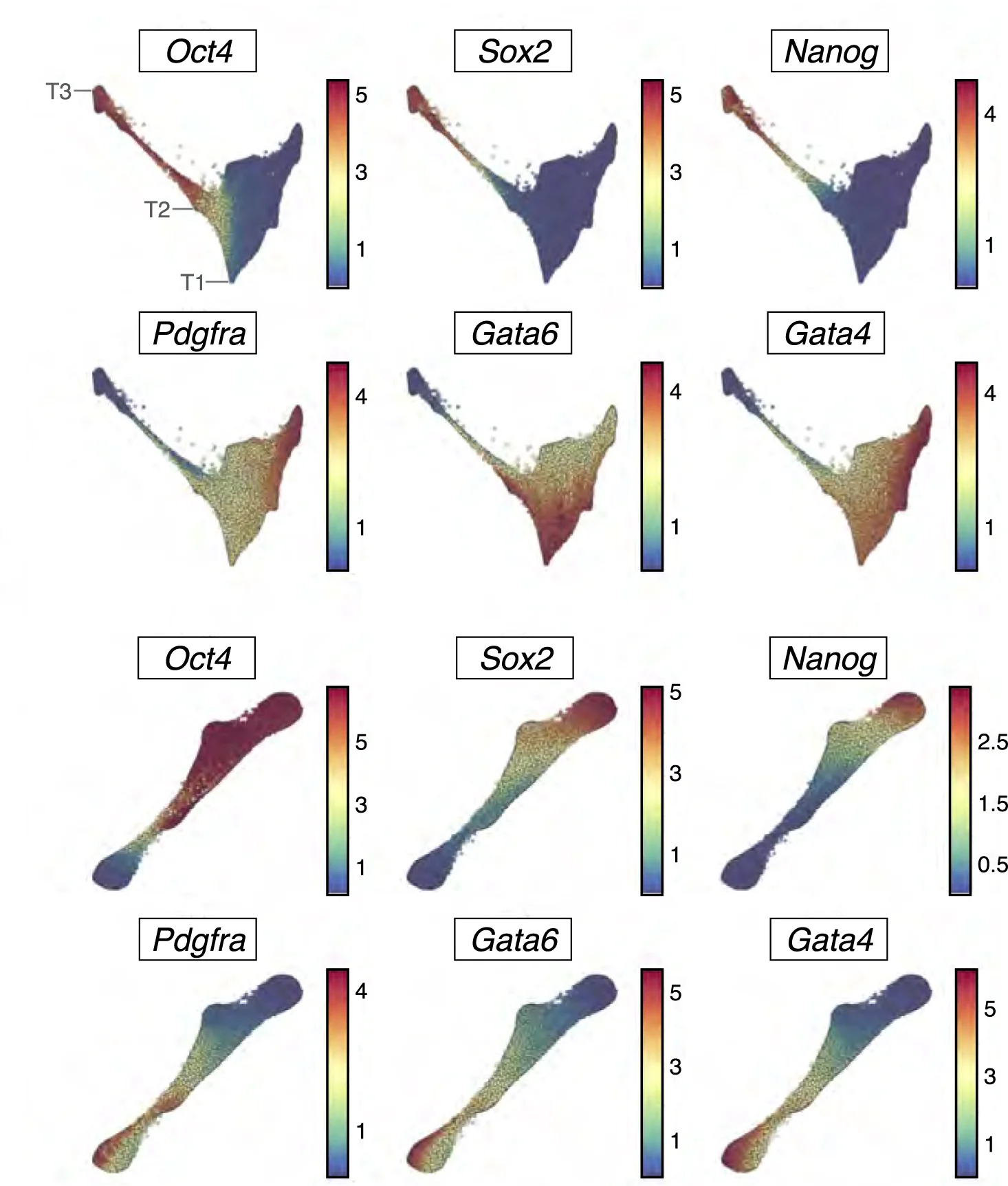 Open access visualization of Scatter Plot, UMAP, Gene Expression, XEN, Pluripotency Markers