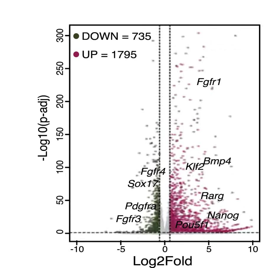 Open access visualization of Volcano Plot, Scatter Plot, Differentially Expressed Genes, Gata4, sgRNA