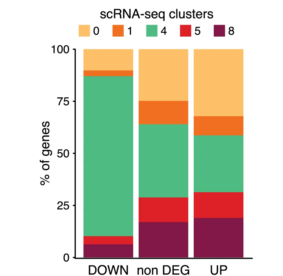 Open access visualization of Stacked Bar Plot, Stacked Bar Chart, Gene Expression, Gene Clusters, Downregulated Genes