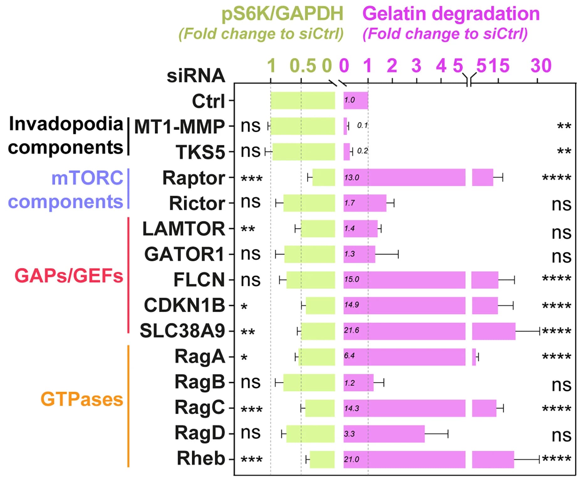 Open access visualization of Bar Plot, Error Bars, pS6K Levels, GAPDH Levels, siRNA