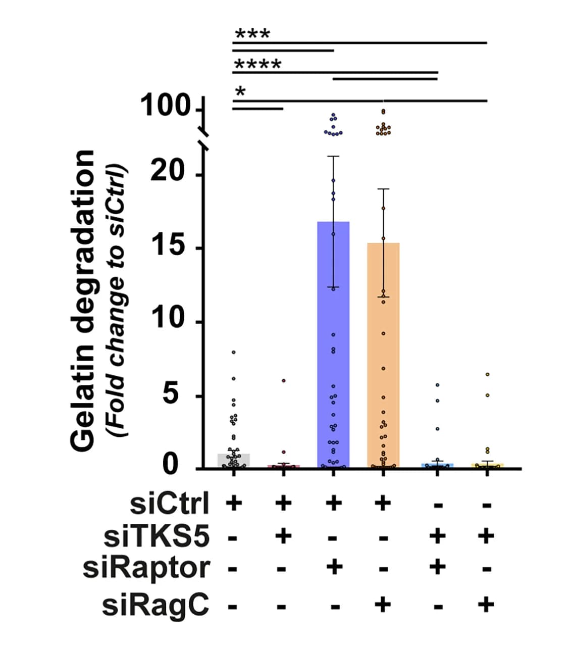 Open access visualization of Bar Plot, Error Bars, Scatter Plot, Gelatin Degradation, MDA-MB-231 Cells