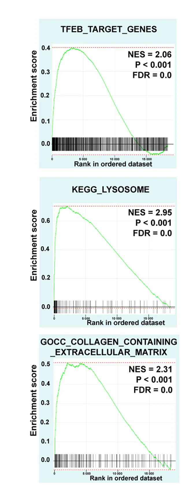 Open access visualization of Line Plot, Enrichment Plots, GSEA Analysis