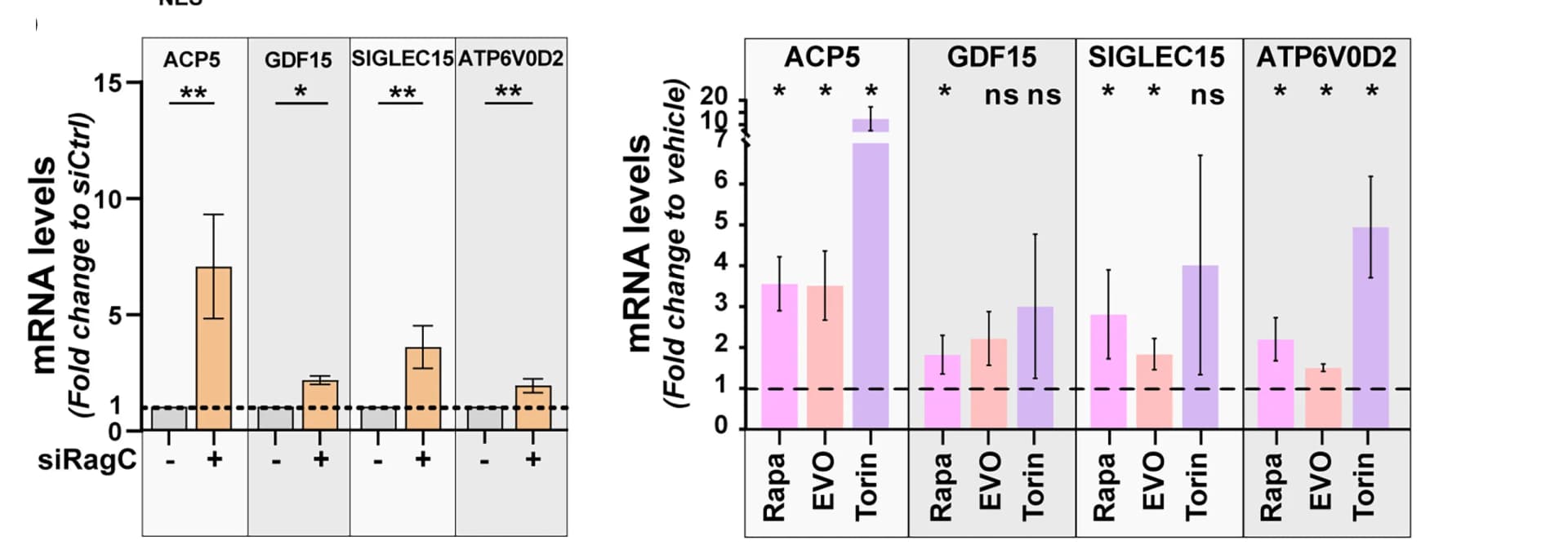 Open access visualization of Bar Plot, Error Bars, RNA Levels, Real Time PCR, MDA-MB-231 Cells