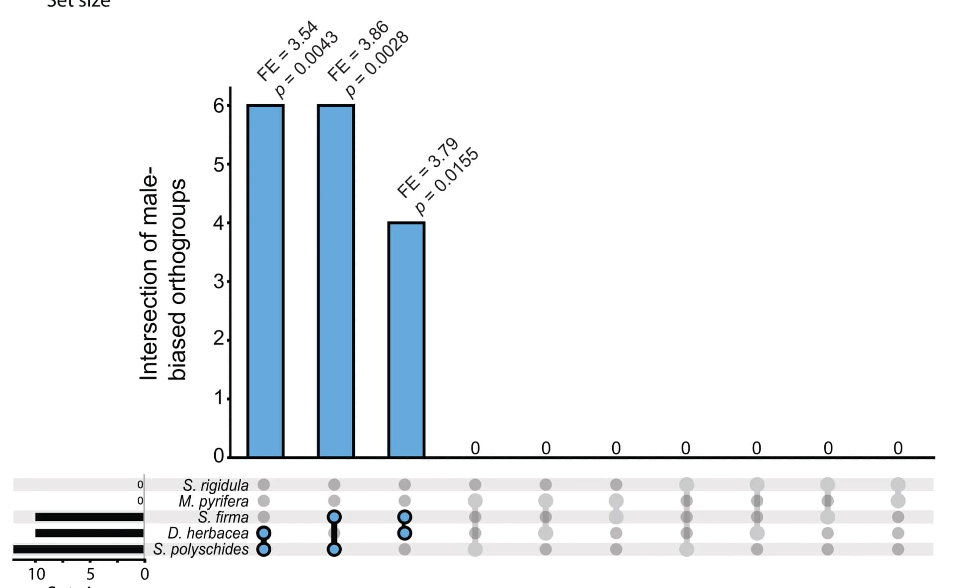 Open access visualization of Bar Plot, Scatter Plot, Intersection Plots, Sex-Biased Orthologs, Brown Algae