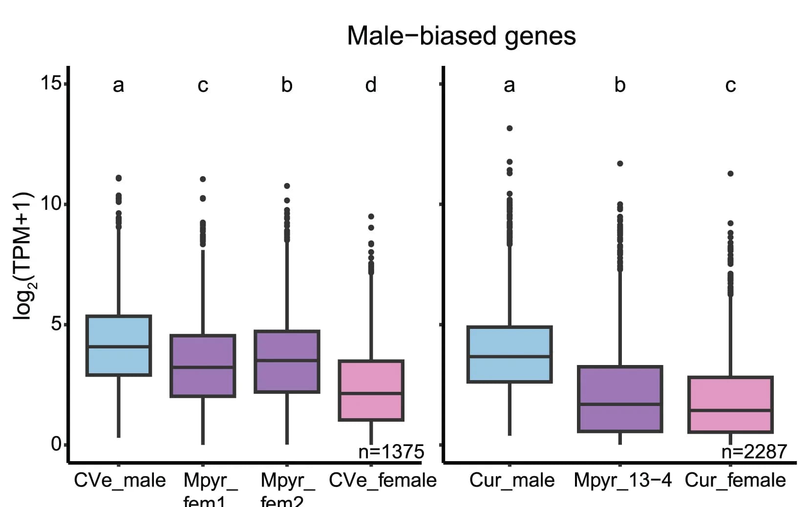 Open access visualization of Box Plot, Transcript Abundance, Male-Biased Genes, Male Wild Types, Feminized Male Variants