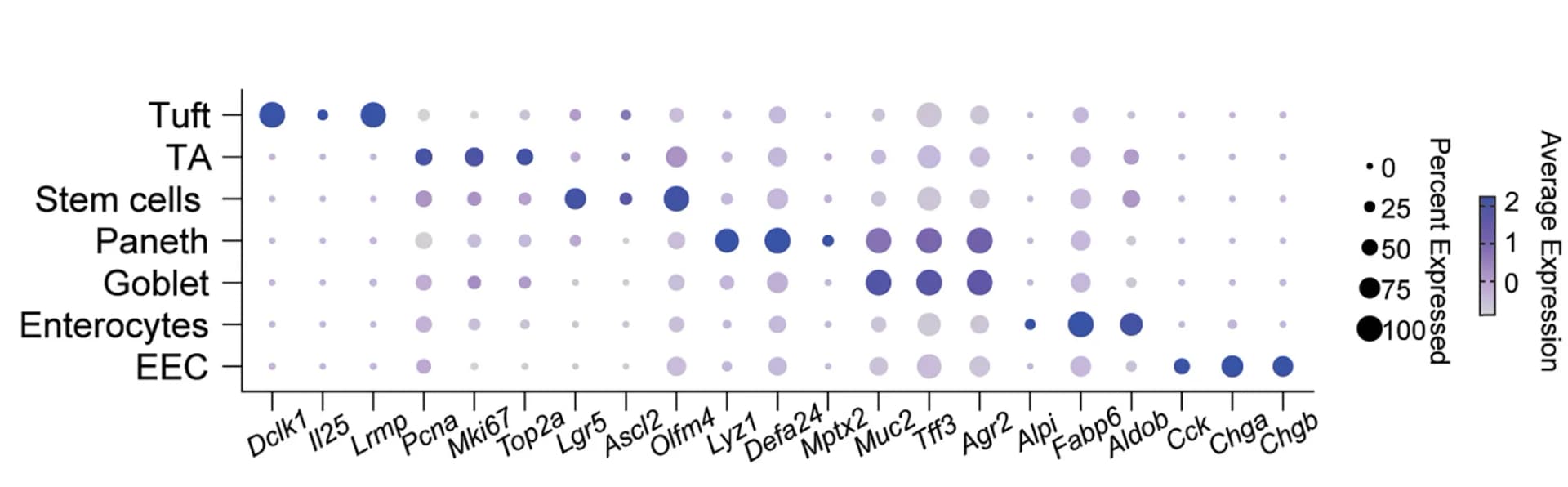 Open access visualization of Bubble Plot, Scatter Plot, Dot Plot, Marker Genes, Clusters