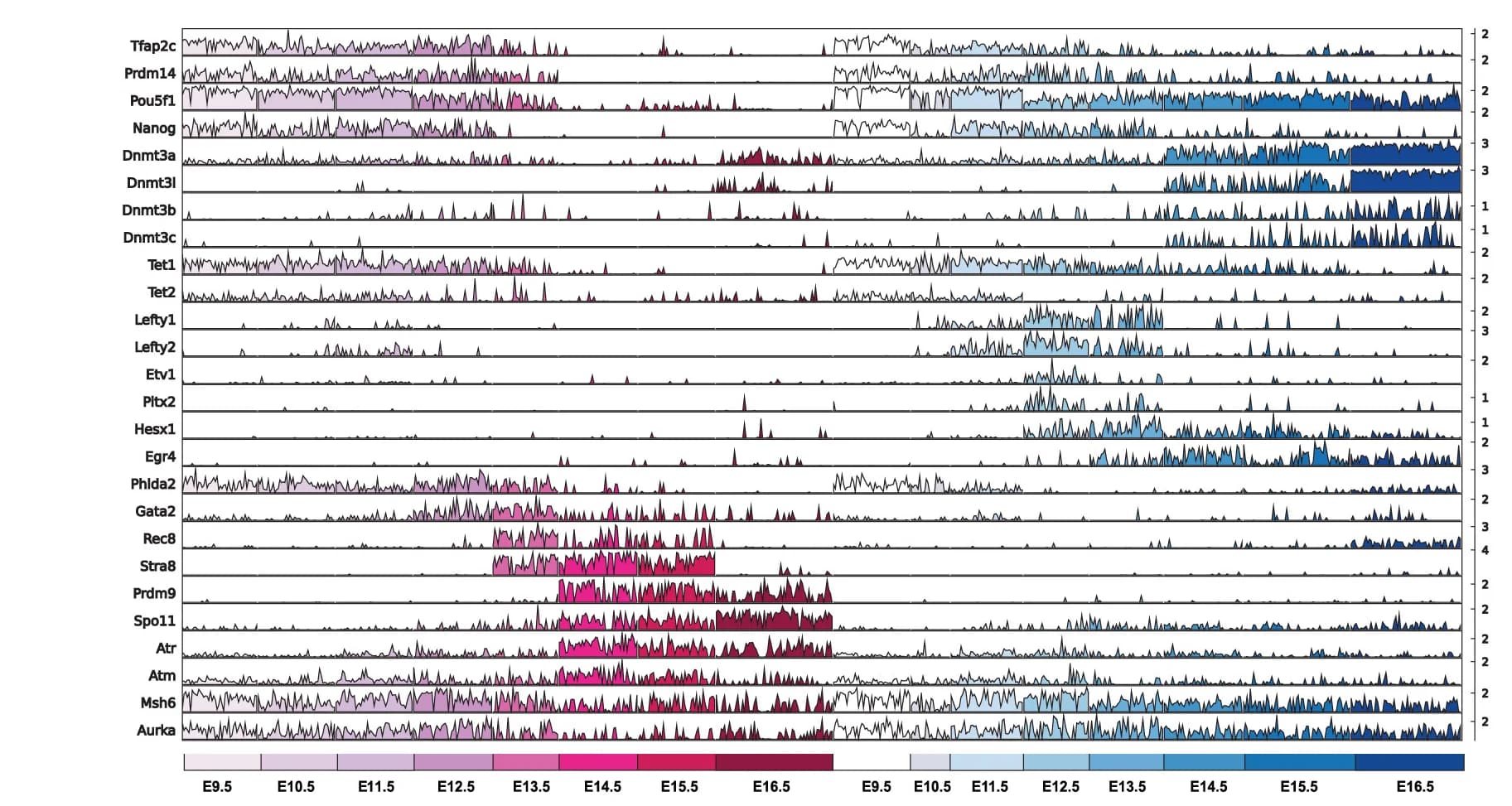 Open access visualization of Line Plot, Tracks-Based Bar Plot, Gene Expression, PGCs, DNA Methylation