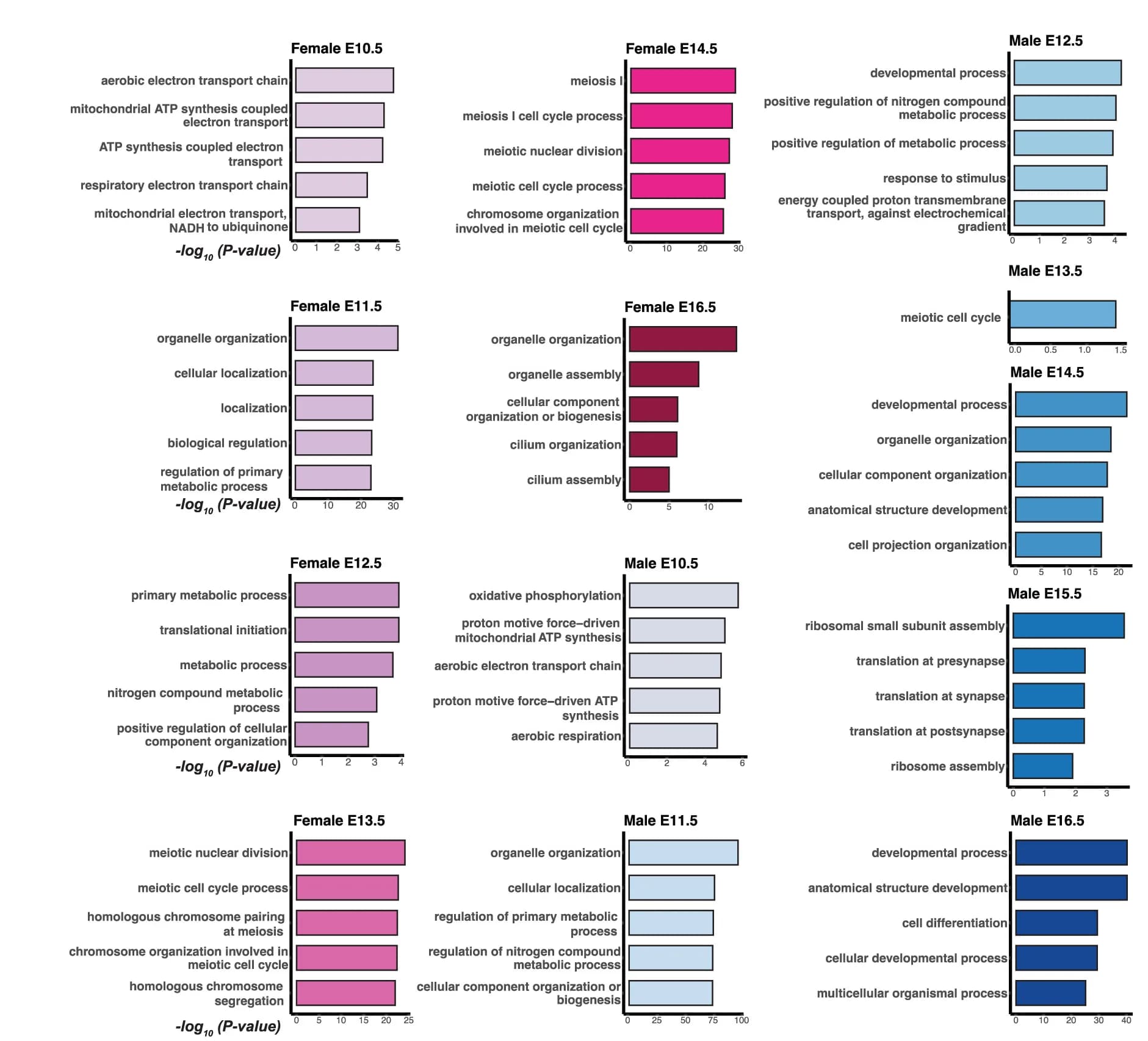 Open access visualization of Bar Plot, Gene Ontology, Biological Process, GO:BP, Embryonic Stage
