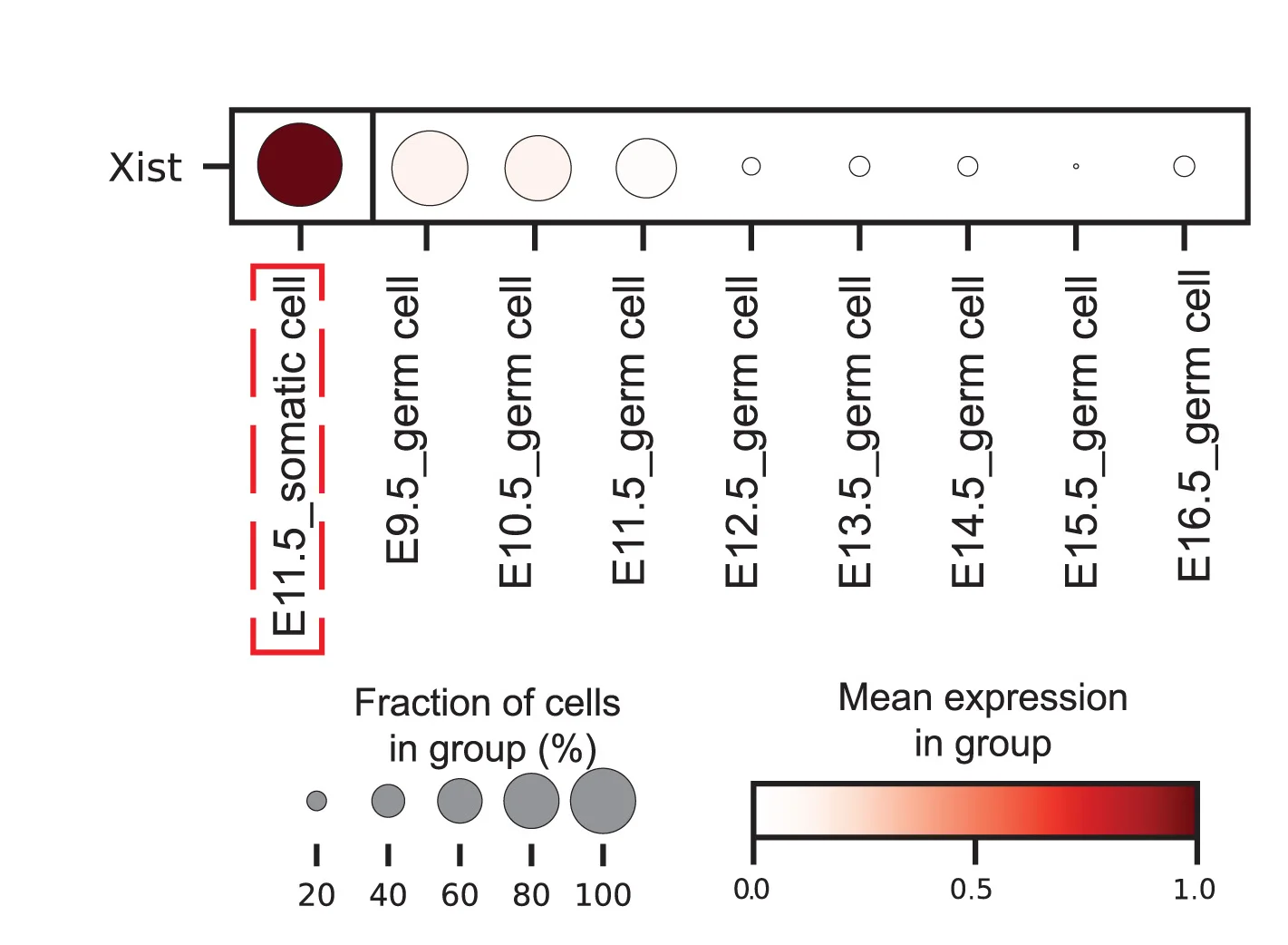 Open access visualization of Bubble Plot, Dot Plot, Xist Expression, Female Somatic Cells, Female Germ Cells