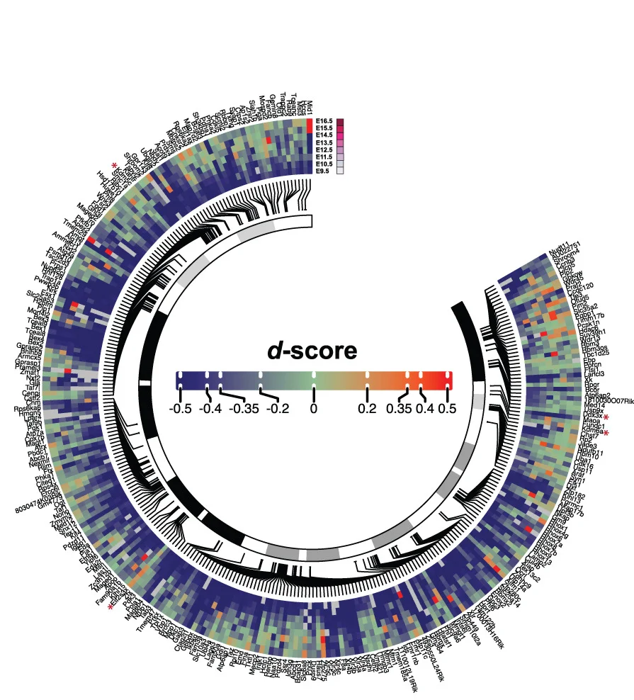 Open access visualization of Heatmap, Clustered, Genomic Location, XCR Genes, D-scores