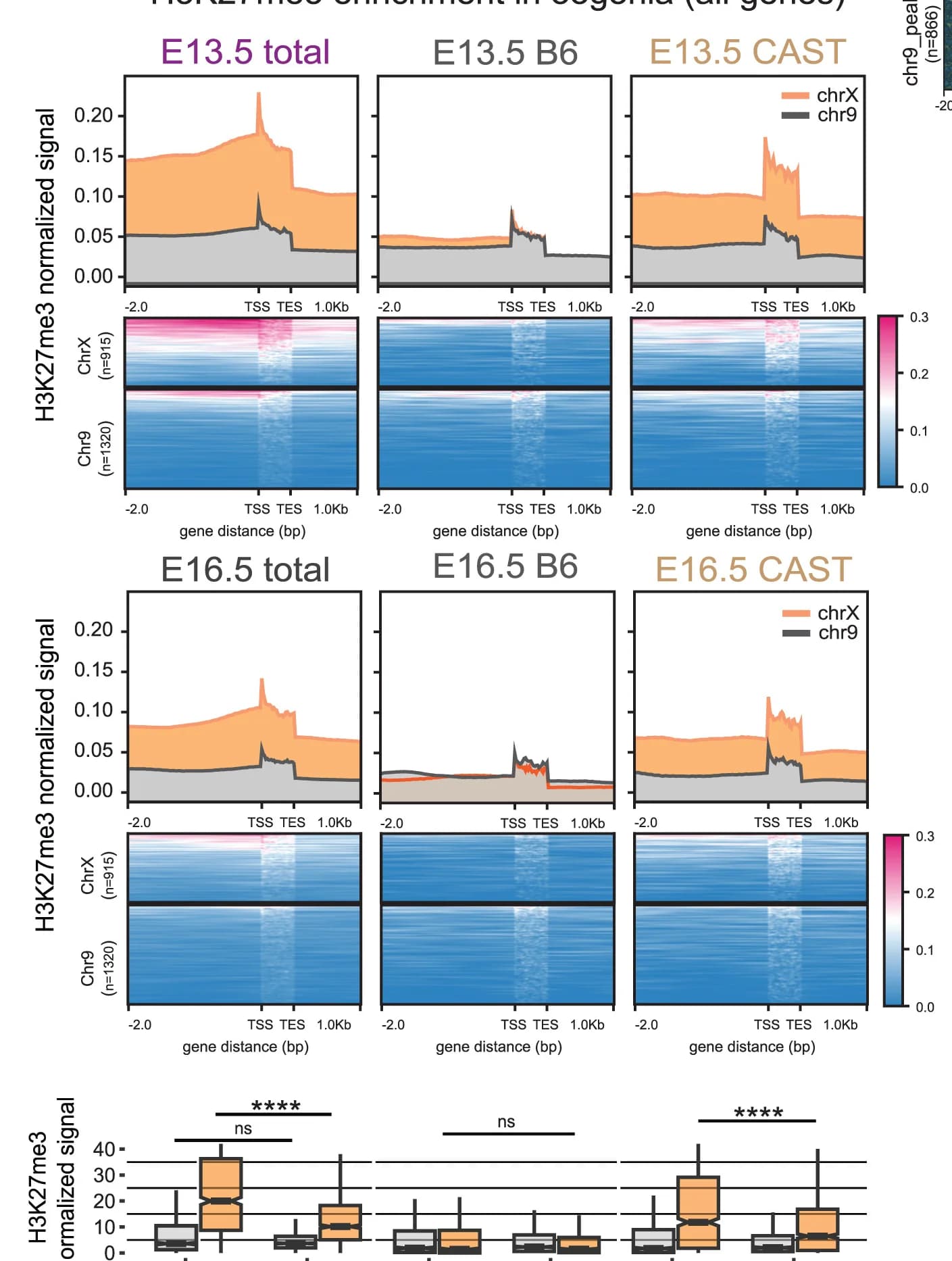 Open access visualization of Line Plot, Heatmap, Box Plot, Heatmaps, H3K27me3 Enrichment Signals