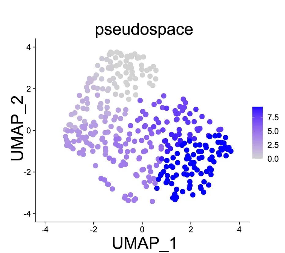 Open access visualization of UMAP, Scatter Plot, Placenta, ECs, Pseudospace
