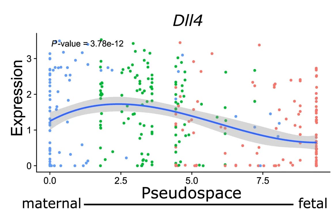 Open access visualization of Scatter Plot, Regression Plot, Dll4, Pseudospace, Gene Expression