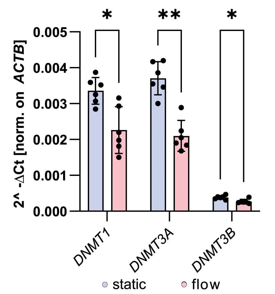 Open access visualization of Bar Plot, Error Bars, Clustered, Gene Expression, DNMT1