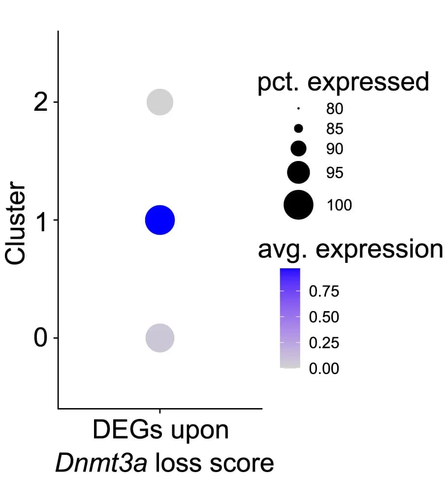 Open access visualization of Bubble Plot, Scatter Plot, Dot Plot, DEGs, Dnmt3a