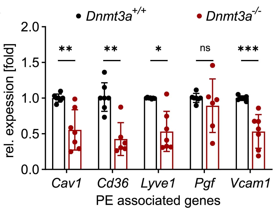 Open access visualization of Bar Plot, Error Bars, Scatter Plot, Gene Expression, Preeclampsia