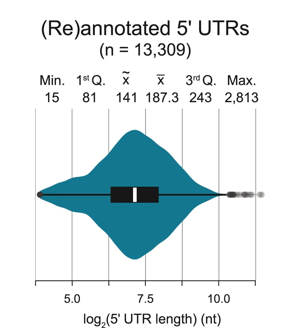 Open access visualization of Violin Plot, Box Plot, 5' UTR Length, Boxplot, Median