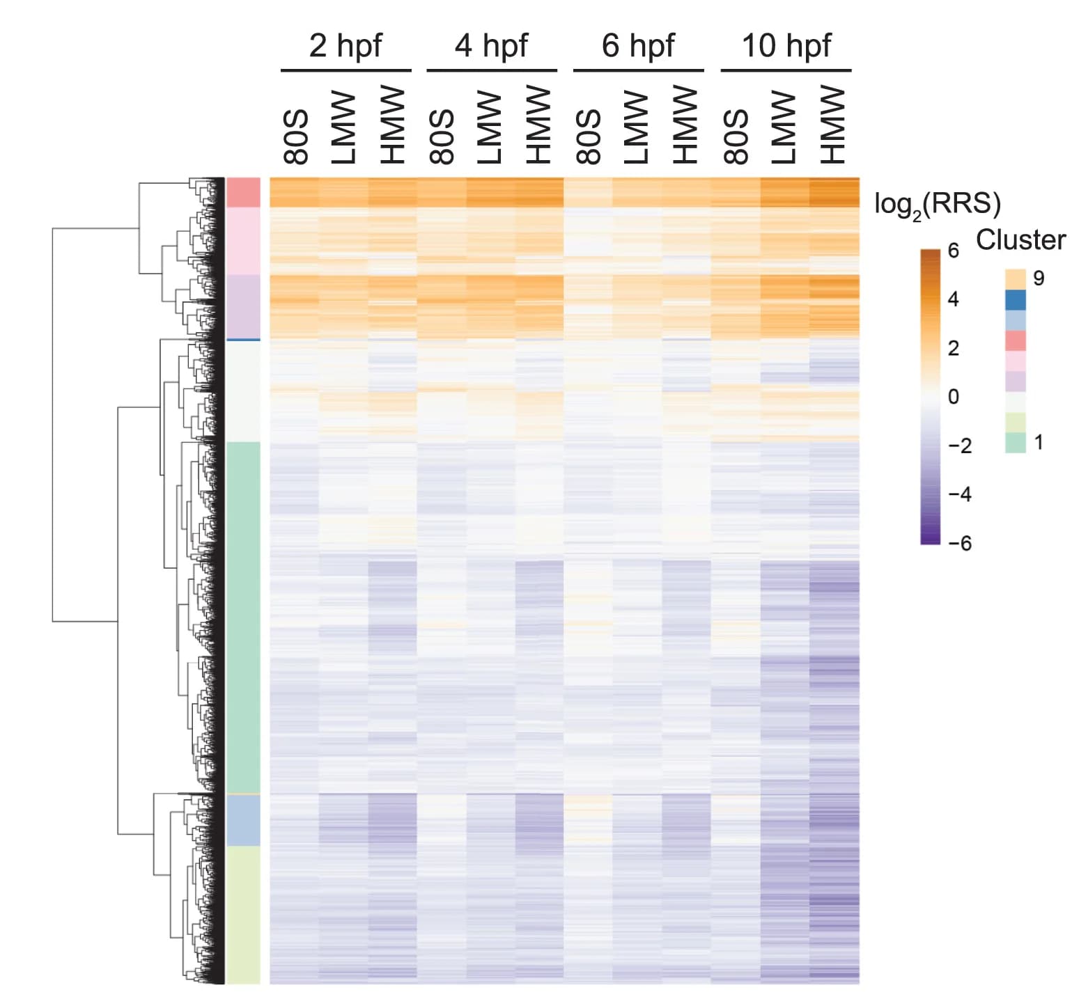 Open access visualization of Heatmap, Clustered, Log2-transformed RRS, 5' UTRs, Hierarchical Clusters
