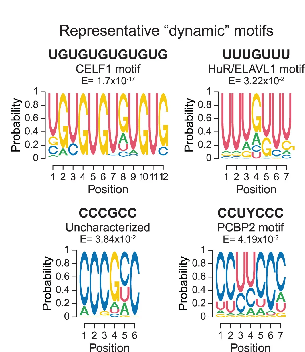 Open access visualization of Illustration, Cluster Membership Scores, Dynamic