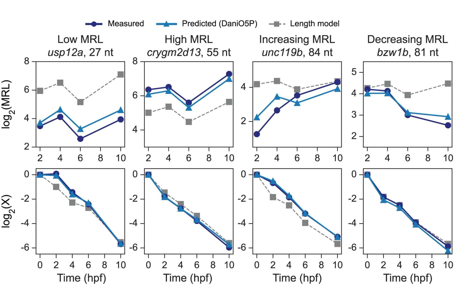 Open access visualization of Line Plot, 5' UTRs, CNN Predictions, Length