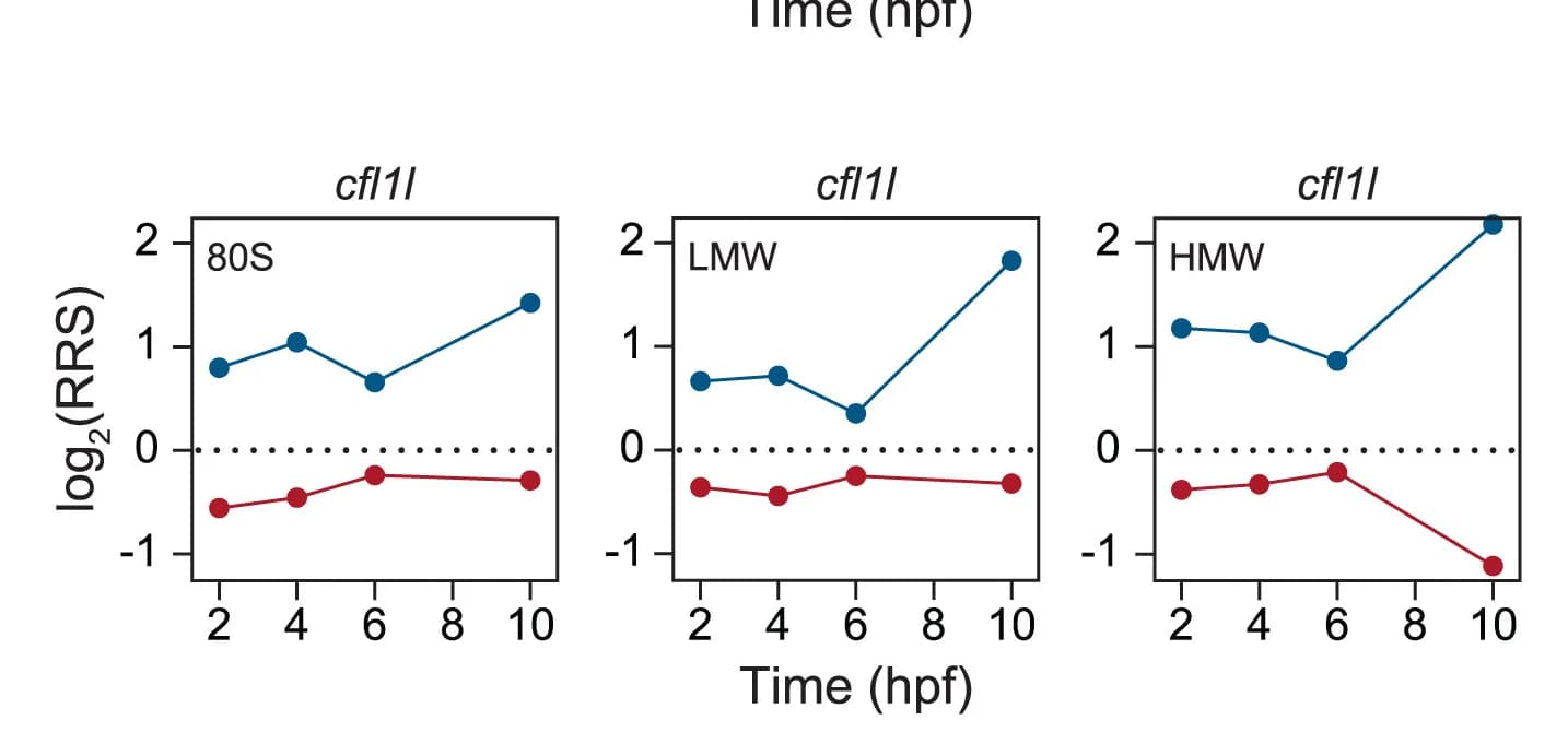 Open access visualization of Line Plot, Scatter Plot, log2RRS, 80S, LMW