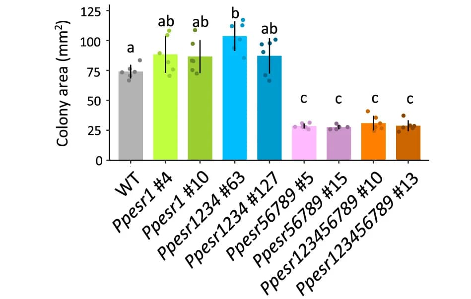 Open access visualization of Bar Plot, Error Bars, Colony Area, Wild-Type, Mutants