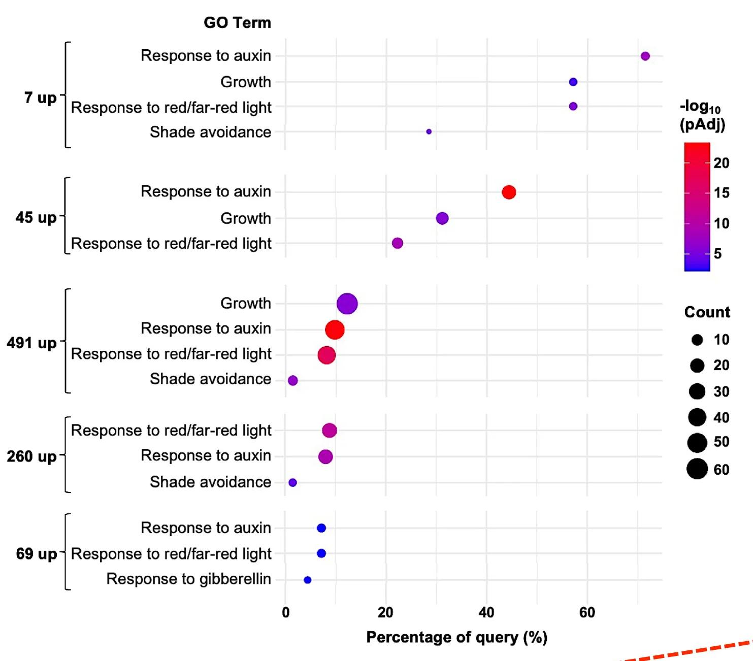 Open access visualization of Bubble Plot, Dot Plot, GO Term Enrichment, Genes