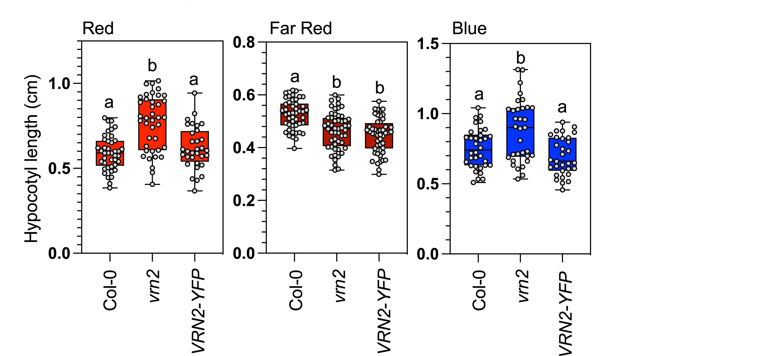 Open access visualization of Box Plot, Scatter Plot, Violin Plot, Hypocotyl Length, Seedlings