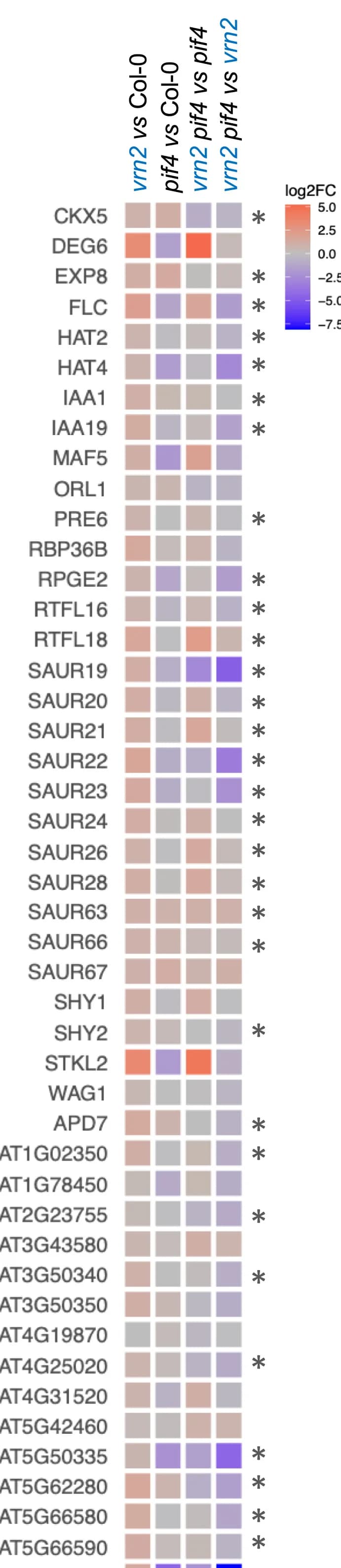 Open access visualization of Heatmap, Log2fold Changes, Genes, RNA-seq, PIF4