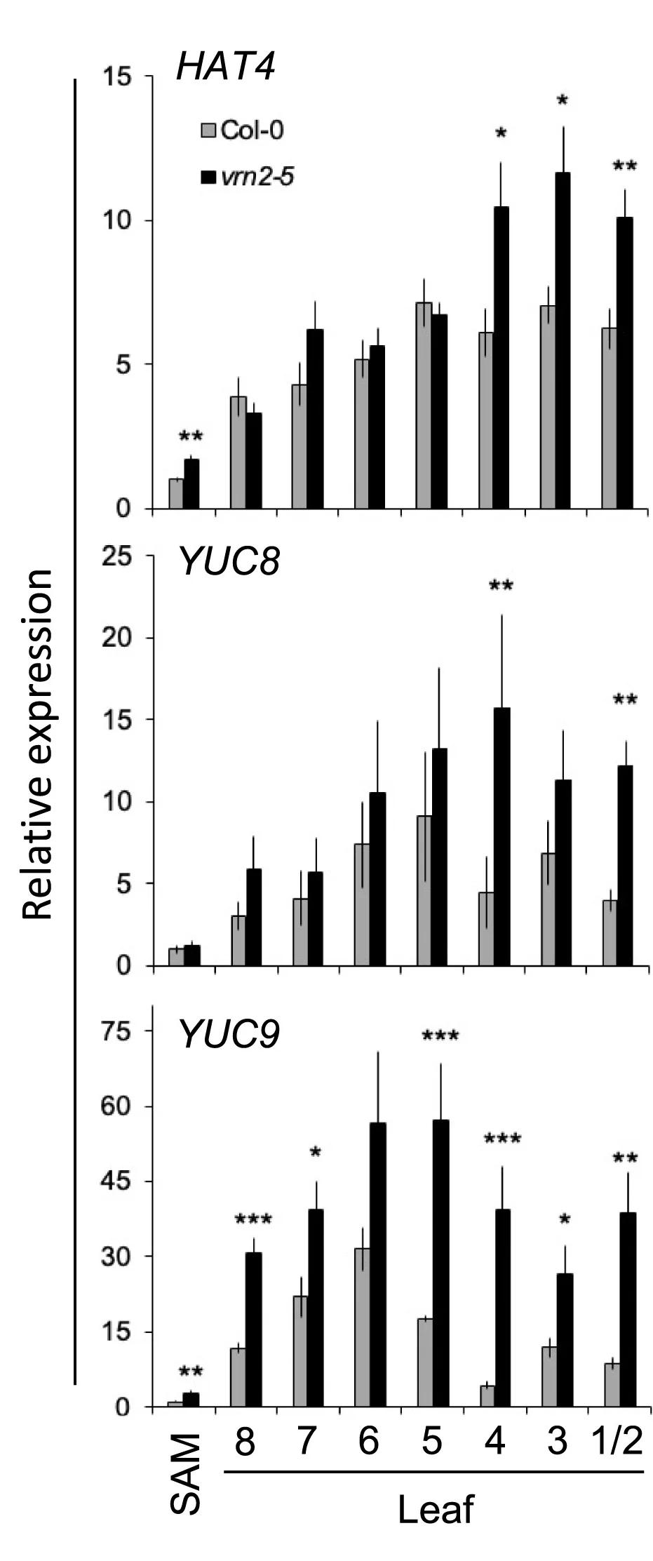 Open access visualization of Bar Plot, Error Bars, Clustered, RT-qPCR, HAT4