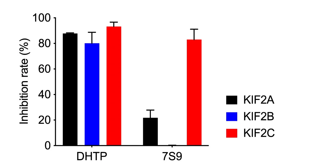 Open access visualization of Bar Plot, Error Bars, Clustered, Inhibitory Effects, DHTP