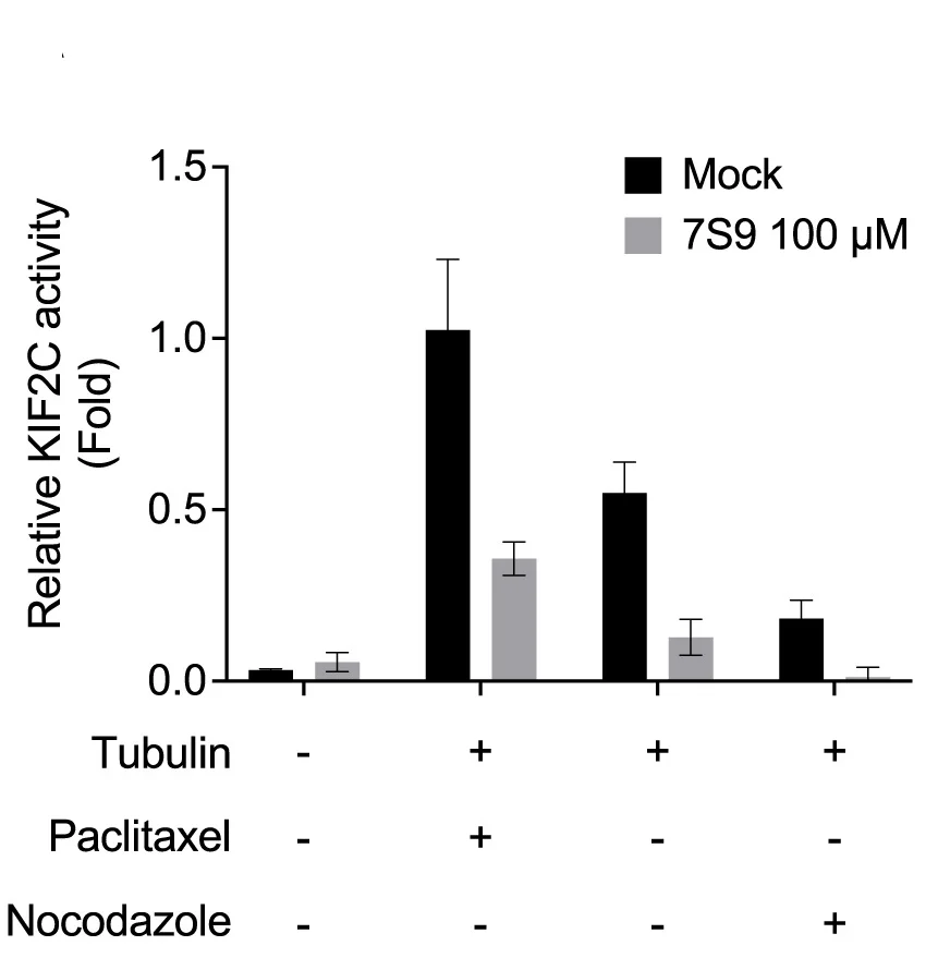 Open access visualization of Bar Plot, Error Bars, Clustered, KIF2C Activity, Paclitaxel