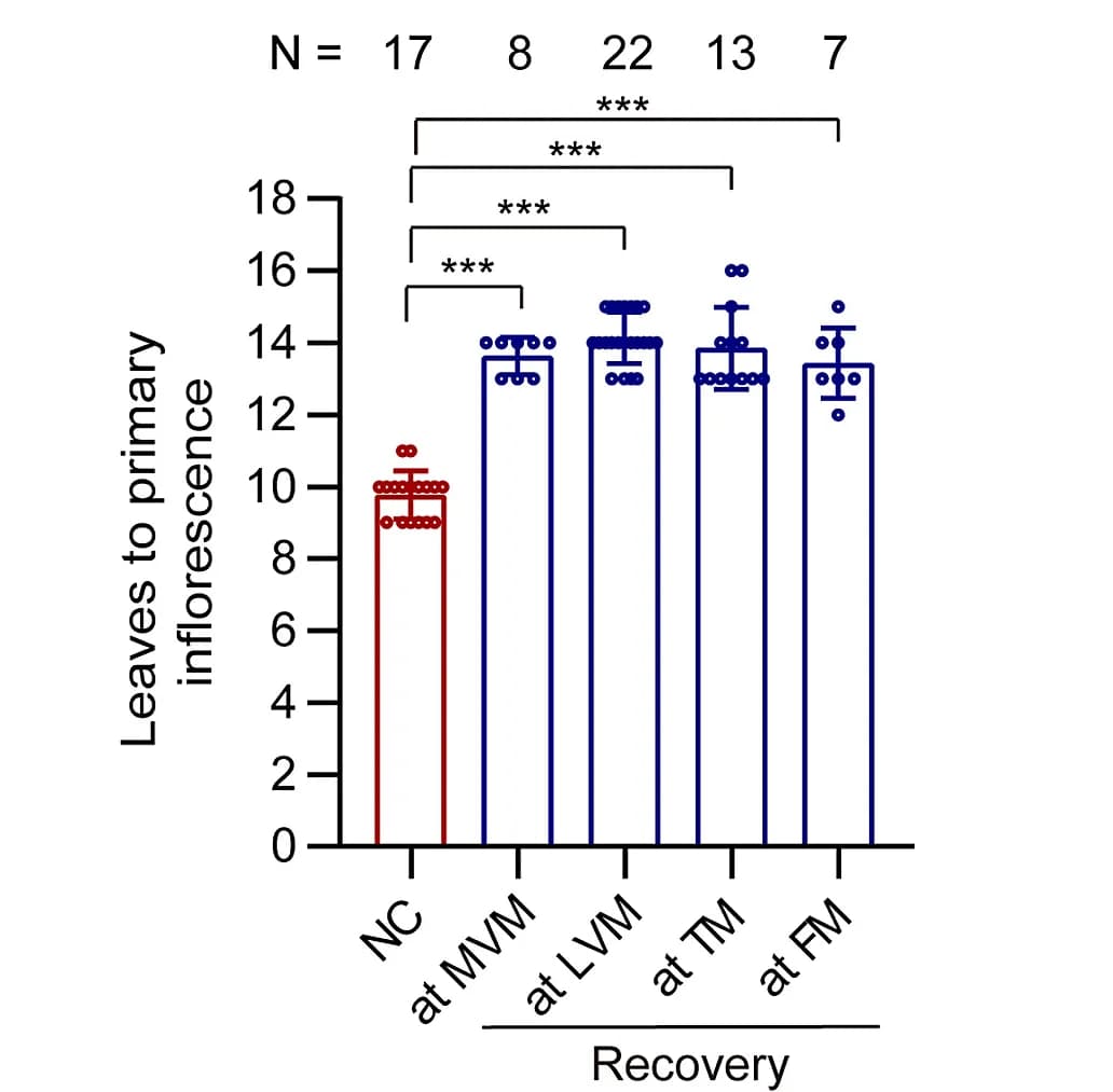 Open access visualization of Bar Plot, Error Bars, Flowering Time, Wild-Type Plants, Heat Stress