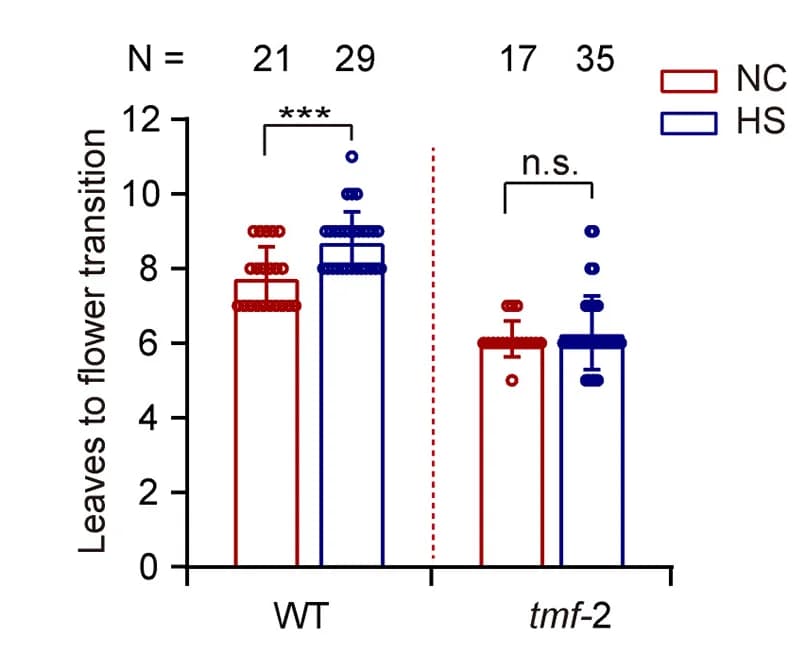 Open access visualization of Bar Plot, Error Bars, Clustered, Leaves, Flower Transition