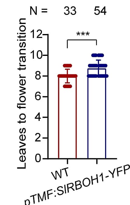Open access visualization of Bar Plot, Error Bars, Quantification, Leaves, Flower Transition