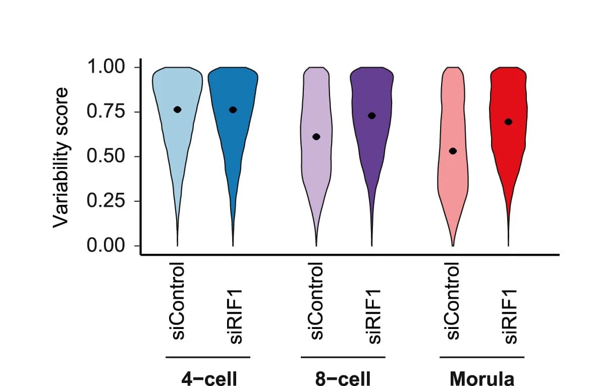 Open access visualization of Violin Plot, Variability Score, RIF1 Depletion, Genomic Bins