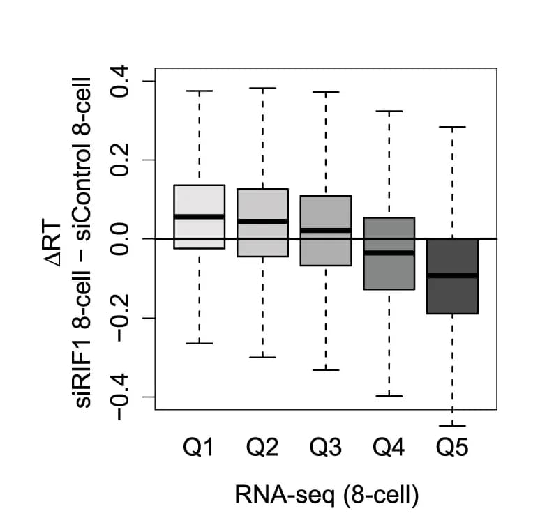 Open access visualization of Box Plot, Boxplots, RT Changes, Genomic Bins, RIF1 Depletion