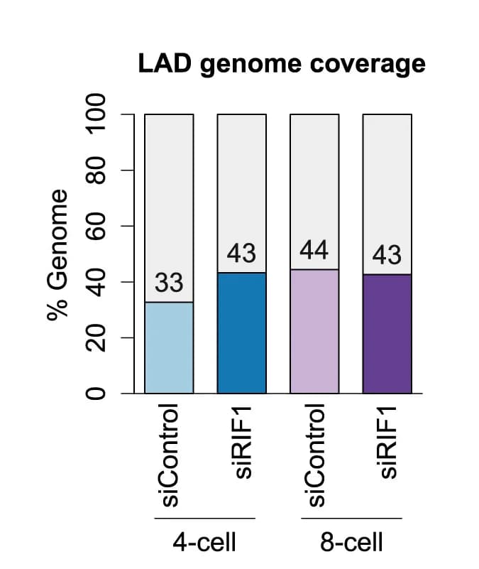 Open access visualization of Stacked Bar Plot, Genomic Coverage, LADs, iLADs, RIF1 Depletion