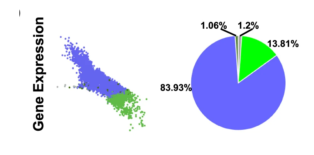 Open access visualization of Scatter Plot, Pie Chart, Dbh-Cre;MYCN Cells, UMAP, State Proportions