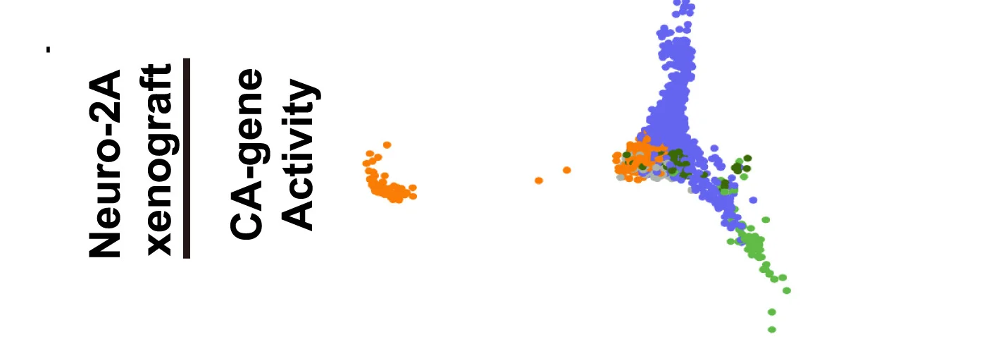 Open access visualization of Scatter Plot, UMAP, PCA, Neuro-2A Cells, CA-Gene Activity