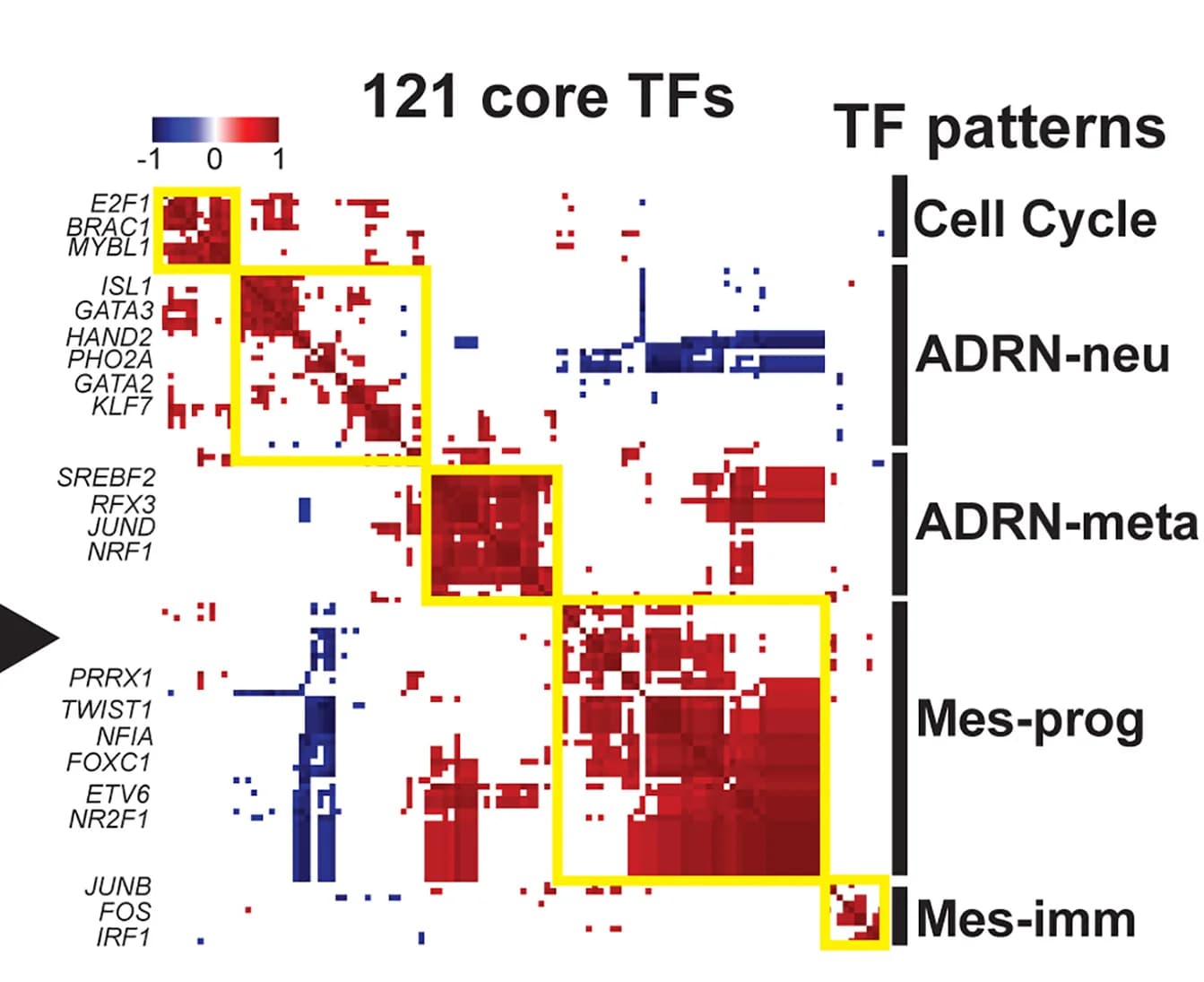 Open access visualization of Heatmap, TF Patterns, GO Biological Processes