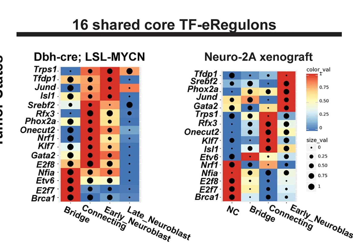Open access visualization of Heatmap, Bubble Plot, Heatmap-Dotplot, TF-eRegulons, Tumor States