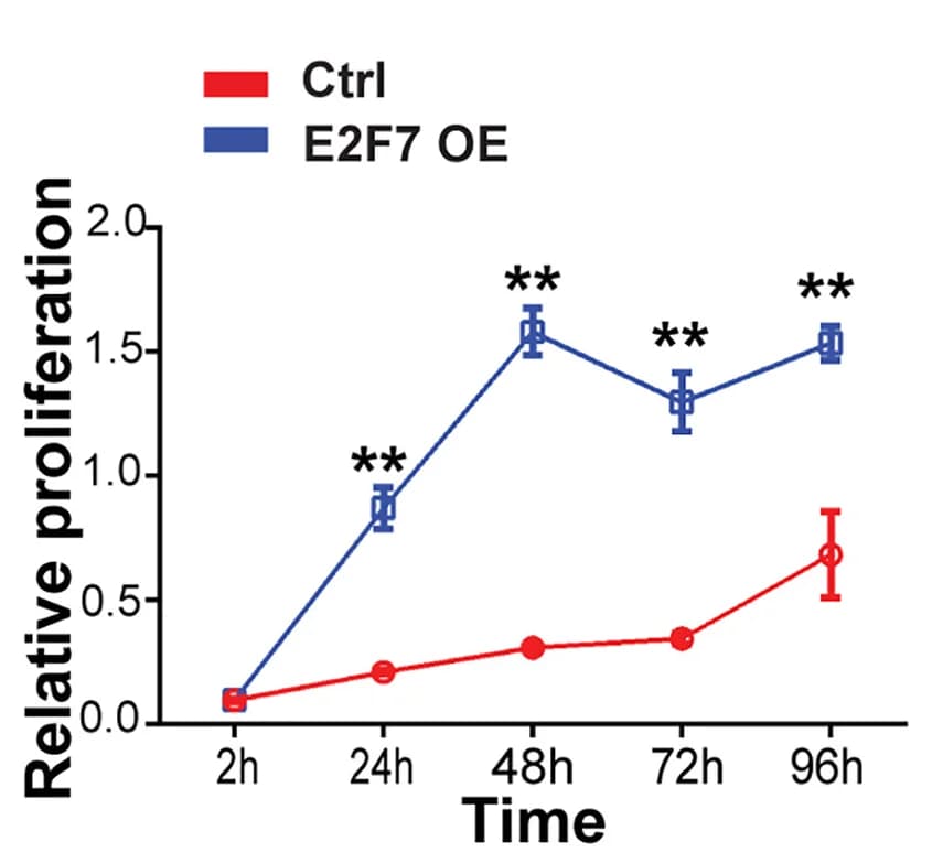 Open access visualization of Line Plot, Error Bars, SK-N-BE2 Cells, E2F7 Overexpression, Cell Proliferation