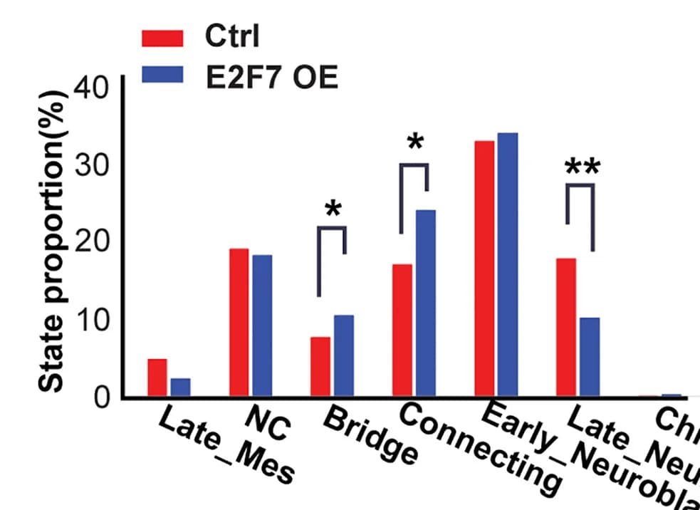 Open access visualization of Clustered, Bar Plot, Bar Chart, State Proportion Changes, SK-N-BE2 Cells